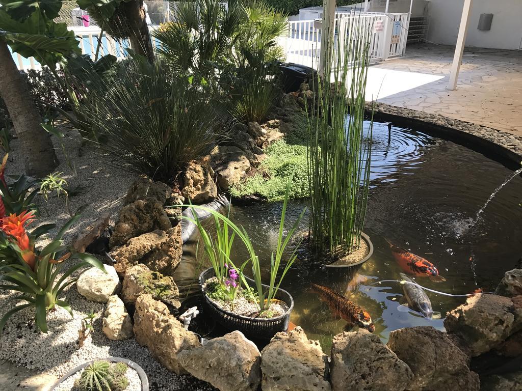 Camping La Paoute 格拉斯 外观 照片
