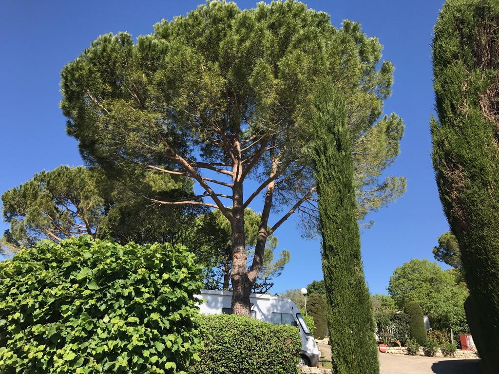 Camping La Paoute 格拉斯 外观 照片
